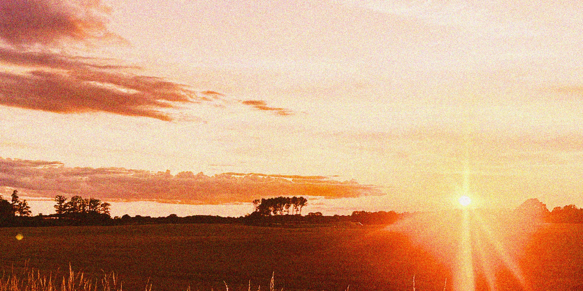 Cover Image for Ny singel: Länge sen