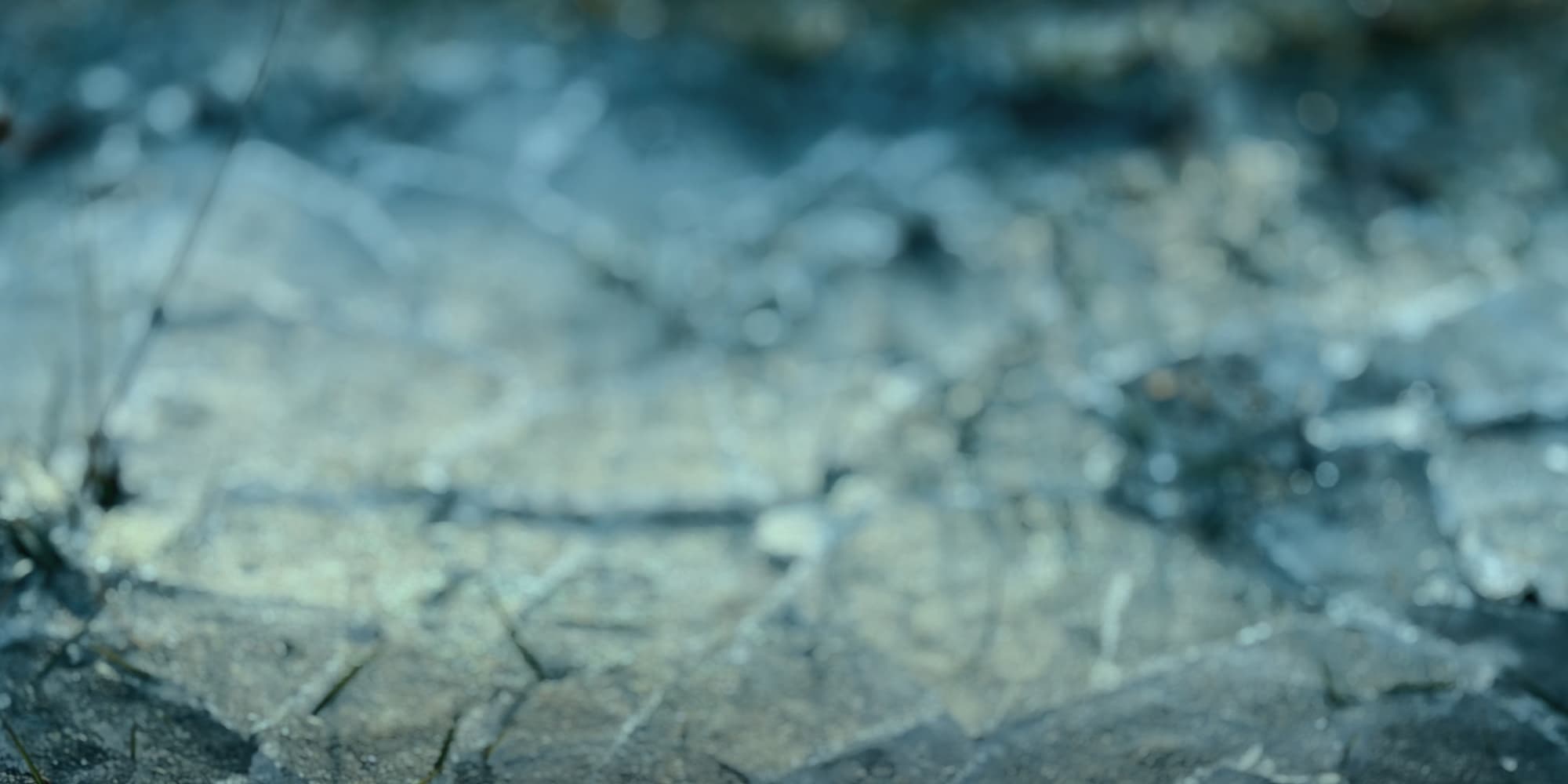 Cover Image for Ny singel: Rädda det som räddas kan