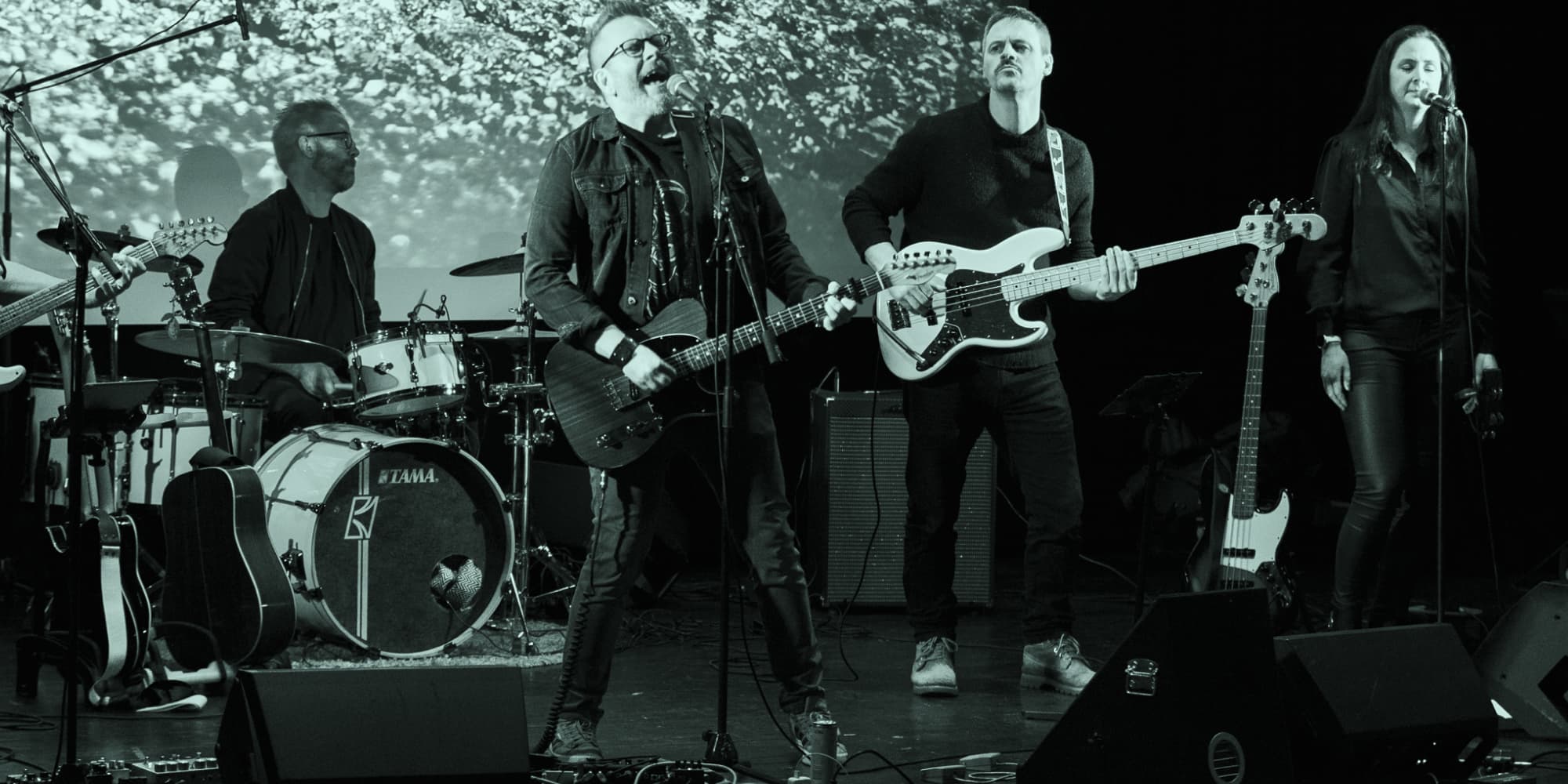 Cover Image for Nytt livealbum: Blomstermåla - Folkets hus - lucia 2025